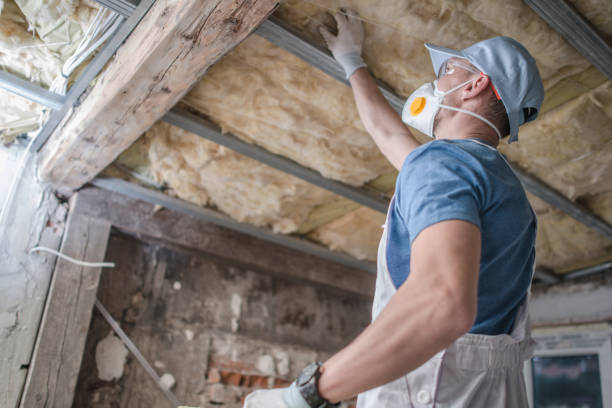 Professional Insulation Contractor in Yazoo City, MS